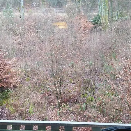 Haus Waldlounge Mit Kamin Holiday home Winterberg
